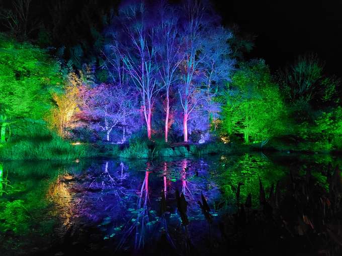 Rosemoor Glow