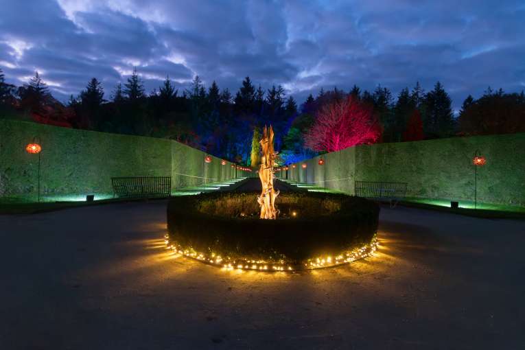 Rosemoor Glow