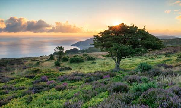 Porlock Common on South Devon Coastline