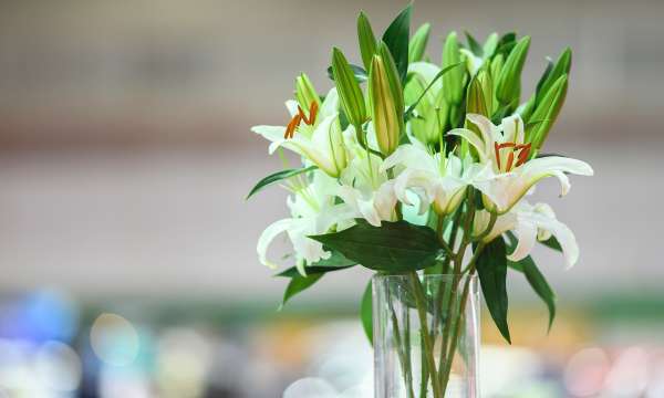 Vases of Lilies for Wake