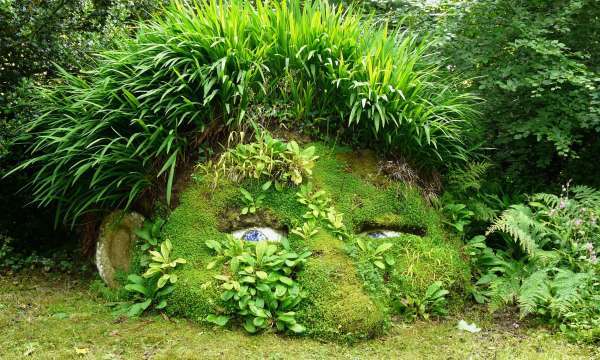 The Lost Gardens of Heligan 