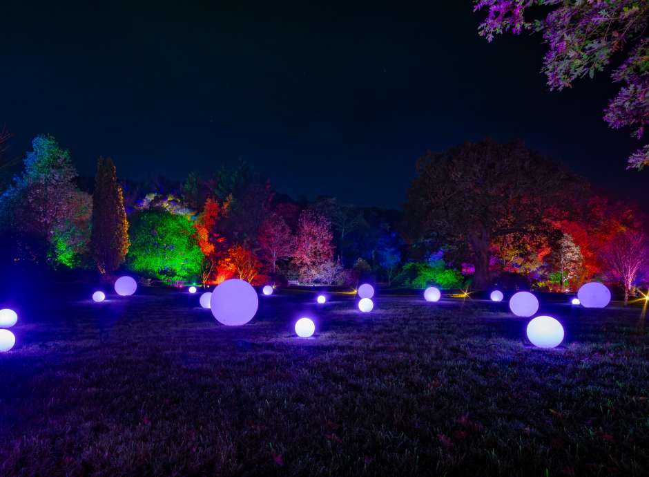 RHS Glow