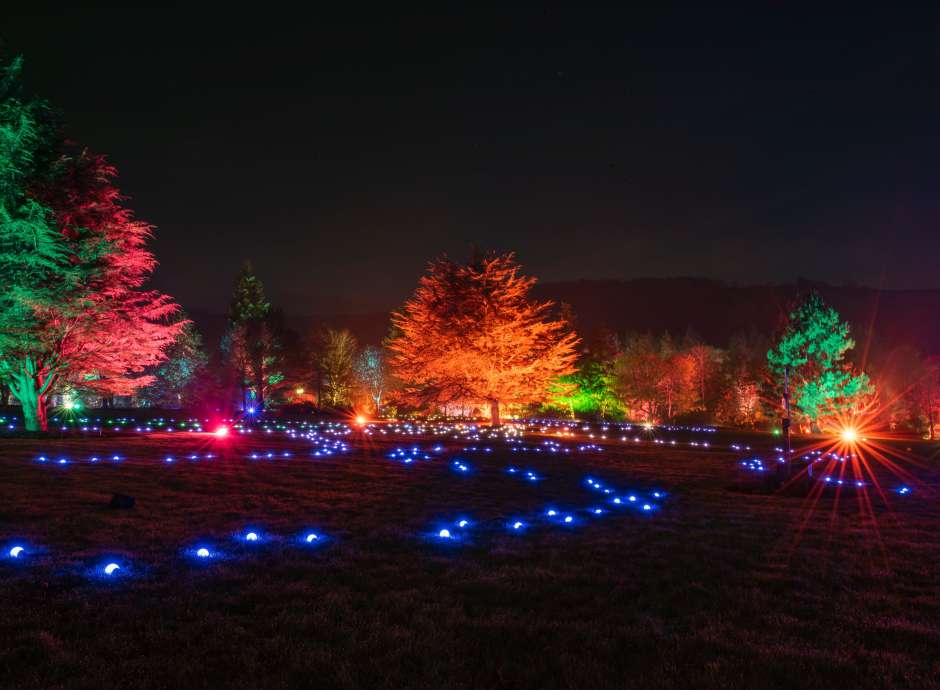 RHS Glow